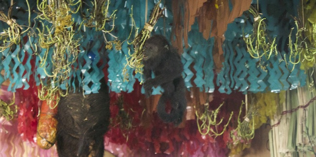 Draped from the ceiling were colorful streamers as well as meats (a salami is at left) as well as taxidermied animals, such as this monkey. 