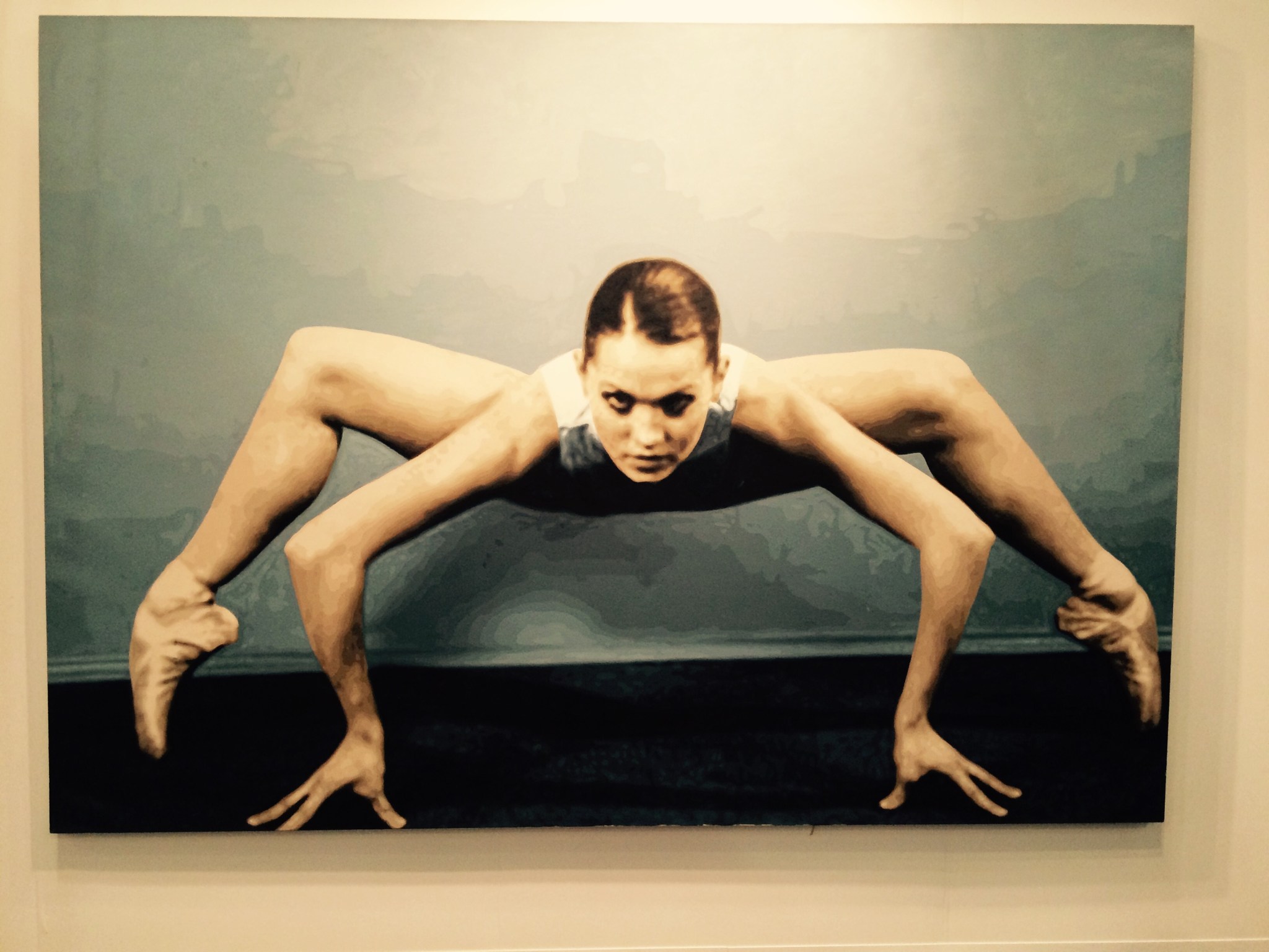 Yan Lei Landing-Shanghai, 2007, at Tang Contemporary Art, Beijing 