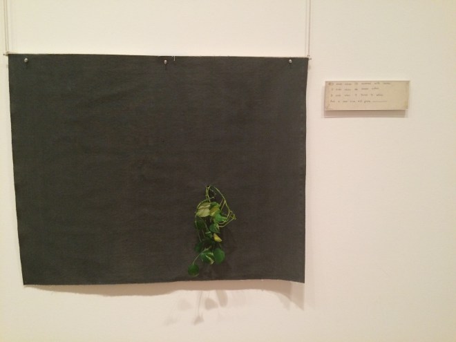 It ends when its covered with leaves It ends when the leaves whither It ends when it turns to ash And a new vine will grow ___________