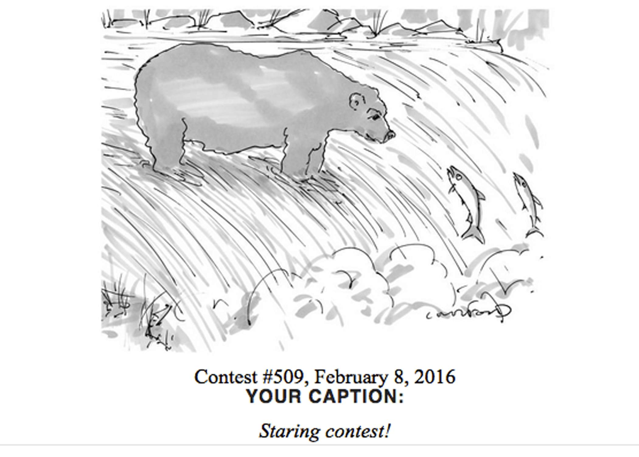 Screen Shot 2016-02-07 at 8.49.57 AM.png