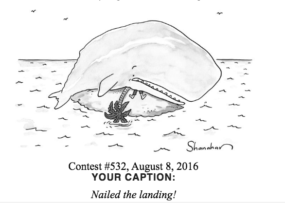 Screen Shot 2016-08-07 at 8.32.19 PM