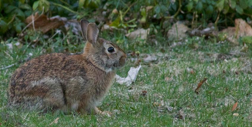 10173716_10152193069874081_7827164718308340031_n