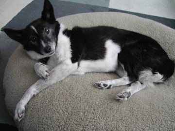 10401117_46045394080_8918_n