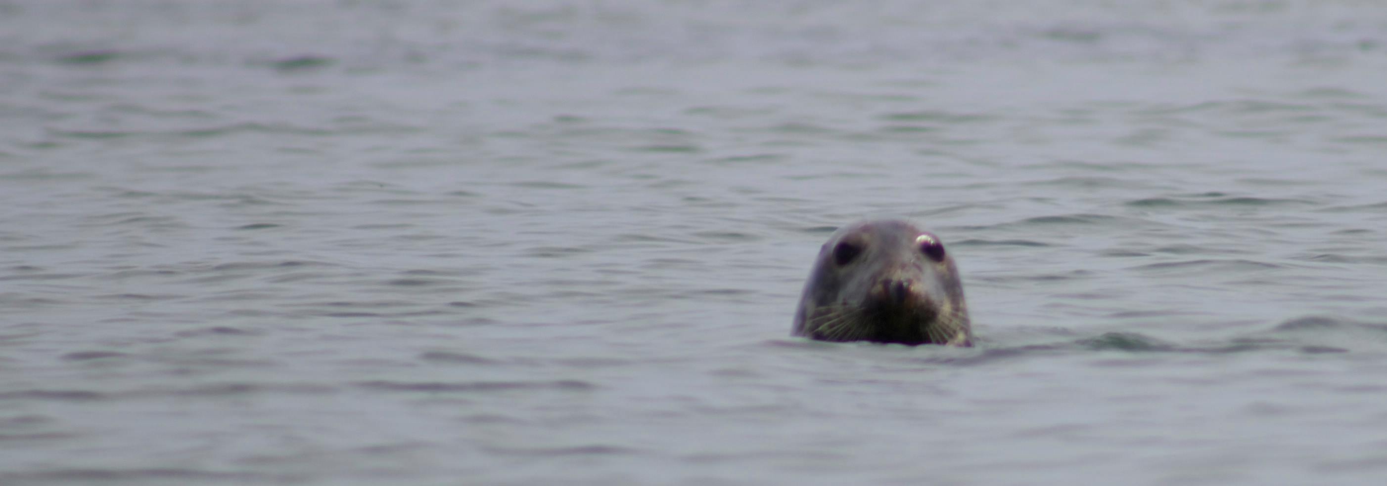 1077323_10151609334994081_1336340761_o