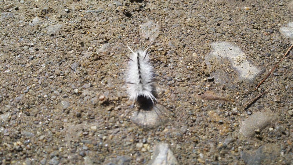 297277_10150291097524081_7563496_n