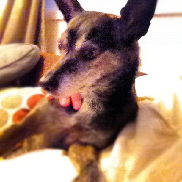 521420_10150860817239081_509189772_n