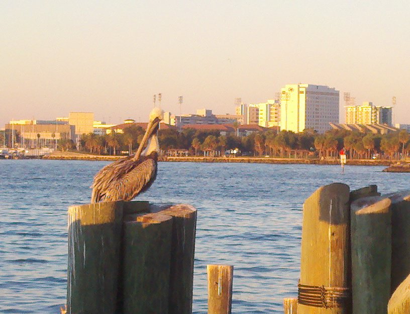 52466_457044984080_1346319_o