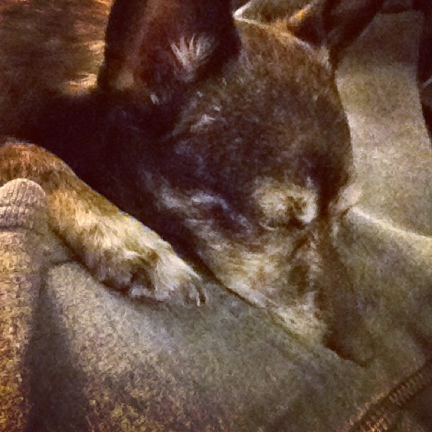 532744_10150881689549081_2123311650_n