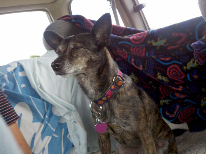 58422_438555169080_734476_n