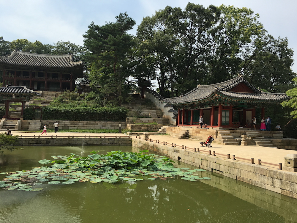Lily pads in a pond amid traditional buildings in the Secret Garden, Seoul, South Korea, of the Changdeokgung Palace