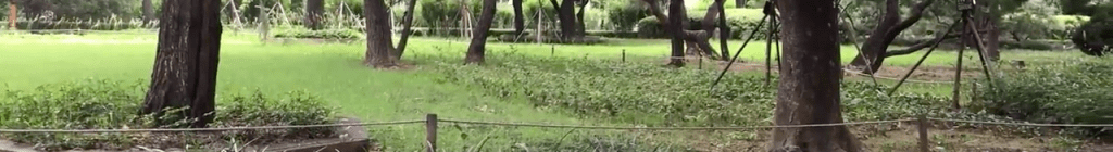 Summer in Dosan Park, Seoul, South Korea