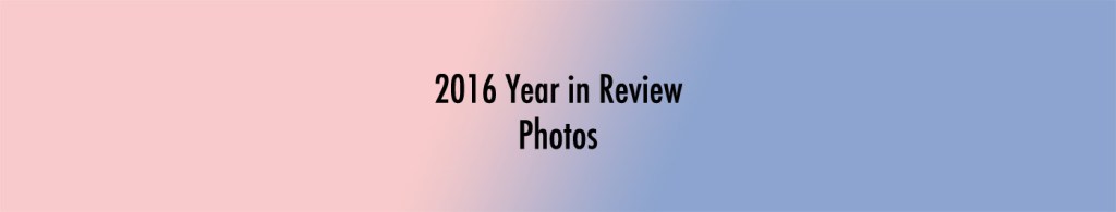 2016 Year in Review with&nbsp;Photos