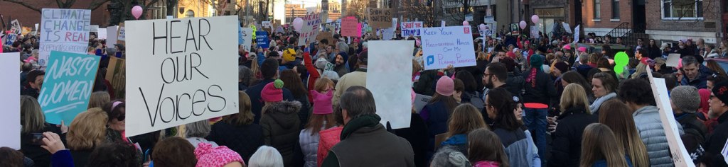 Signs of protest in Albany, NY, Jan. 21,&nbsp;2017