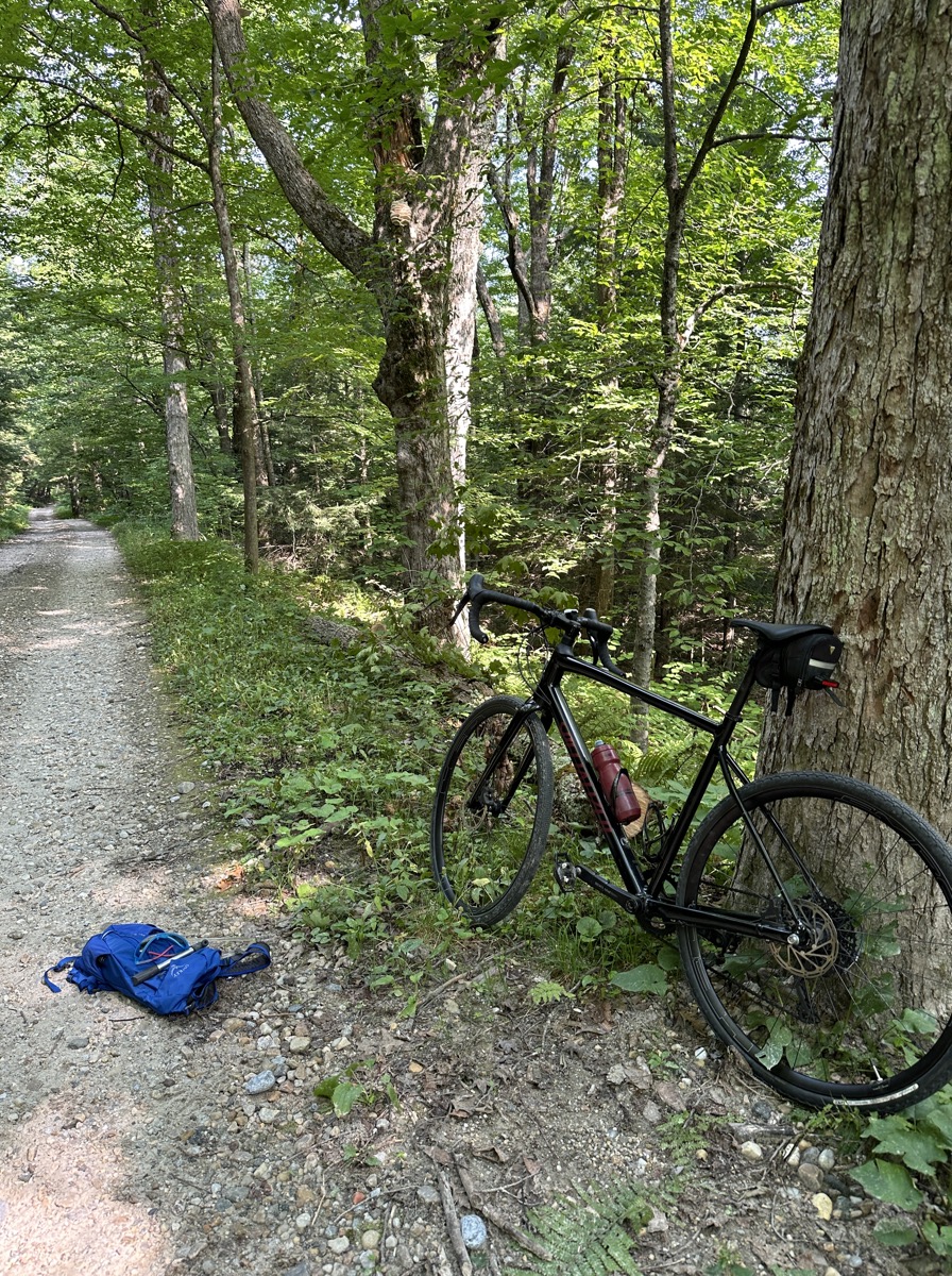 A bicycle leans against a tree